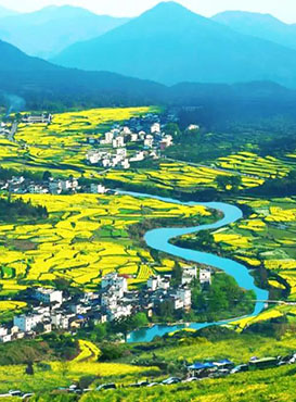 Huangshan Wuyuan Tour