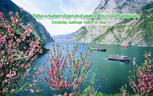 China Spring Tours 2024/2025