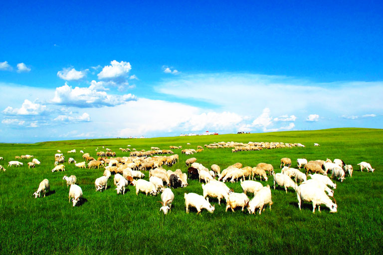 Best Cities to Visit in China in Summer
