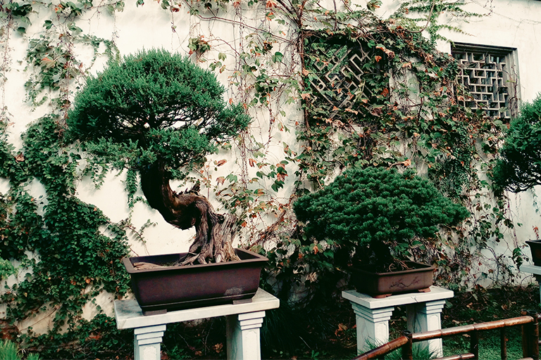 Lingering Garden, Liu Garden, Classical Gardens of Shuzou