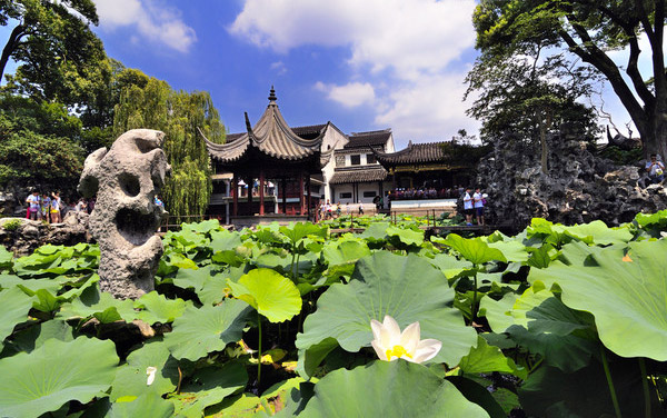 Lion Grove Garden - Lion Grove Garden Suzhou