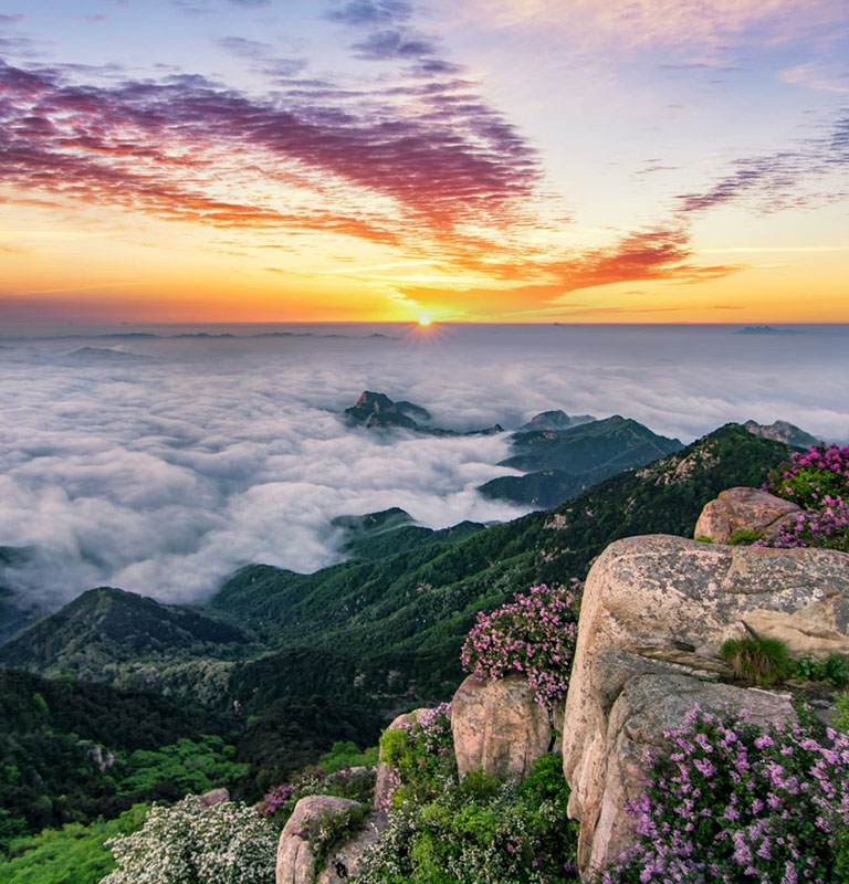 Shandong Mount Tai Tour