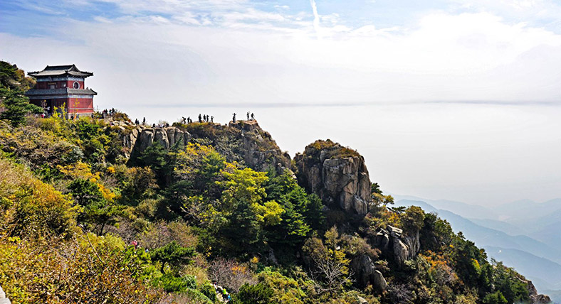 Tai shan sale