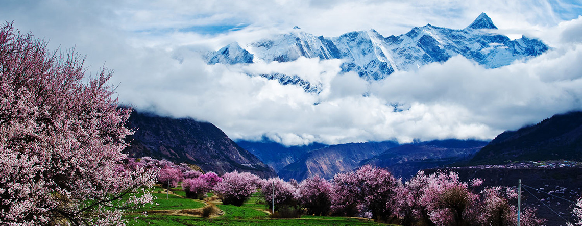 Lhasa Nyingchi Tour 2024