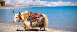 Namtso Lake