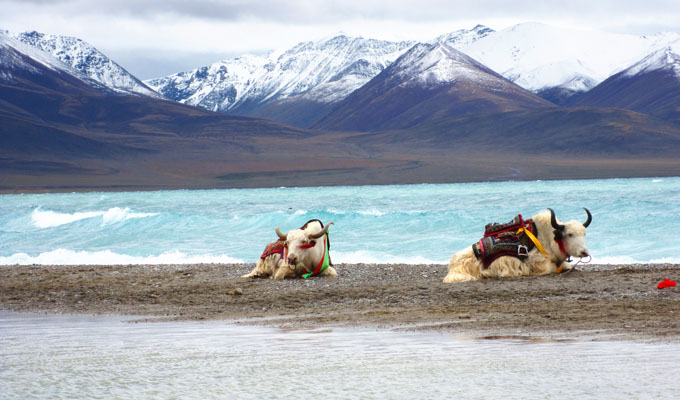 Namtso Lake - photographer's paradise