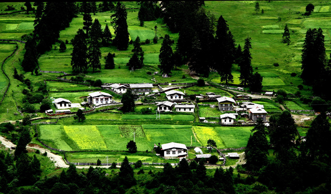 Nyingchi village
