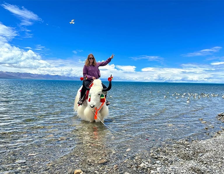 Riding Yak at Namtso Lake - Megan from USA