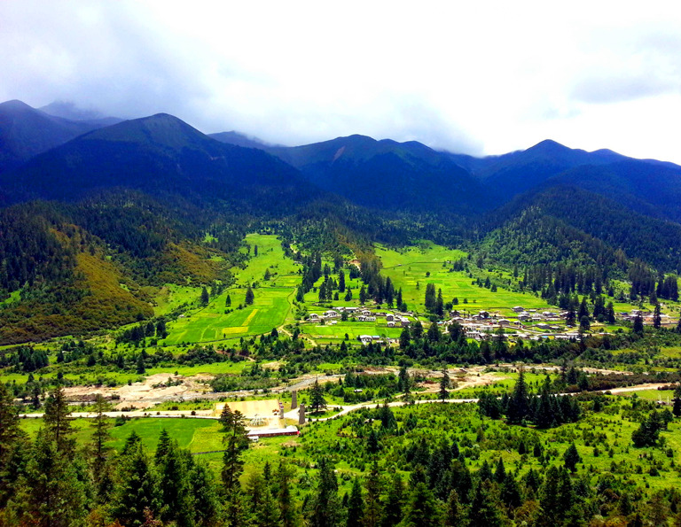 Lulang Forest