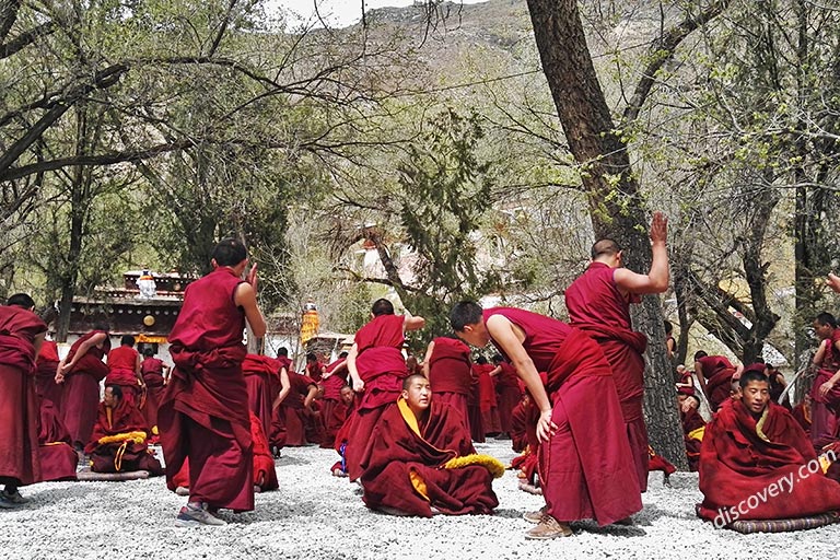 Little Tibetan Lamas 