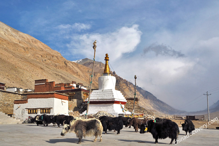 Mount Everest - Rongbuk Monastery