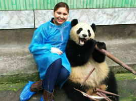 Panda Volunteer Program