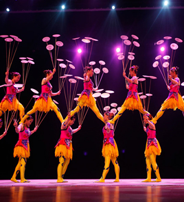 Shanghai Acrobatic Show