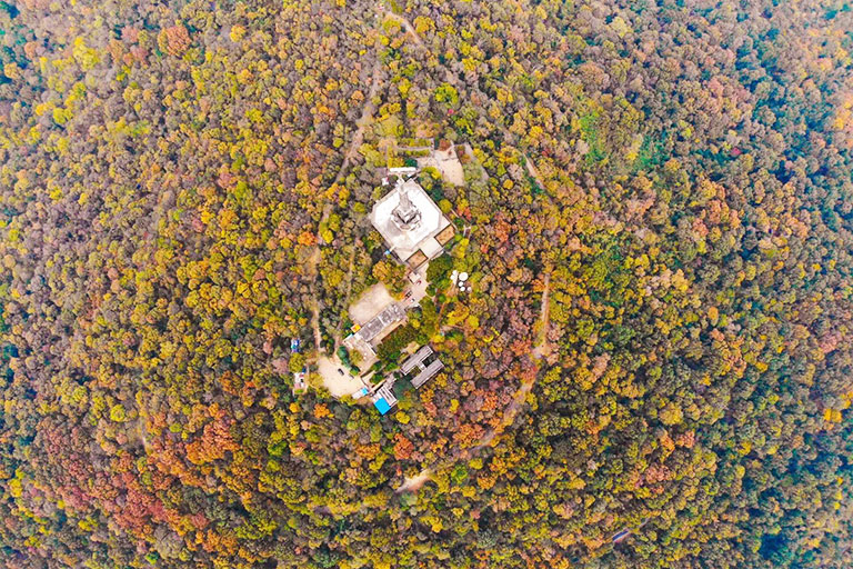Great Autumn View of Dashushan Forest Park