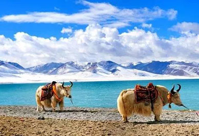 Tibet Lhasa Namtso Lake
