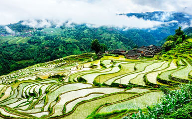 Jiabang Rice Terraces