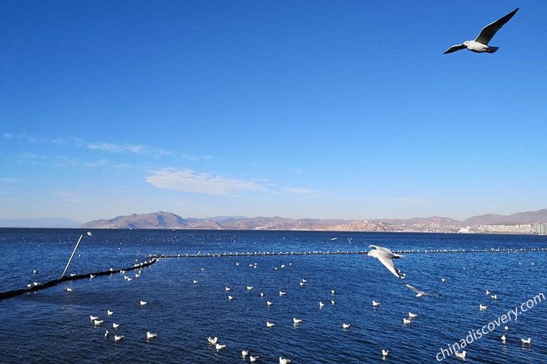 Erhai Lake