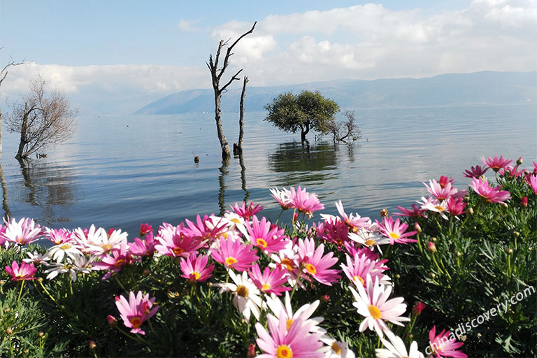 Dali Erhai Lake