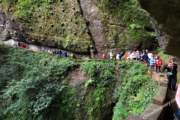 Mount Qingcheng Hiking Trails