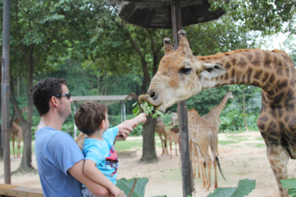 Family friendly activities in China