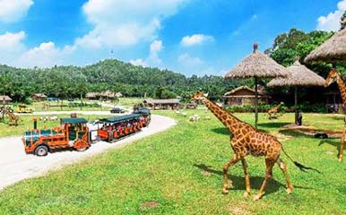 Chimelong Safari Park