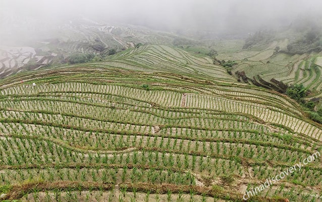 Longji Ancient Zhuang Village