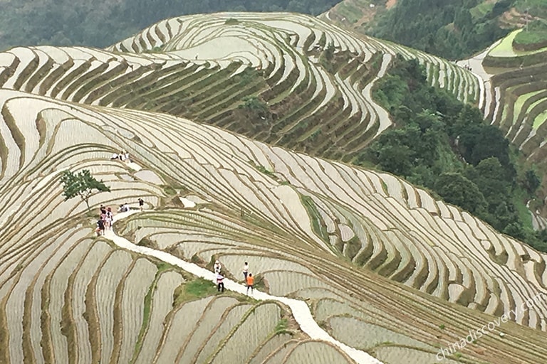 Huangluo Yao Village - Longji Rice Terraces