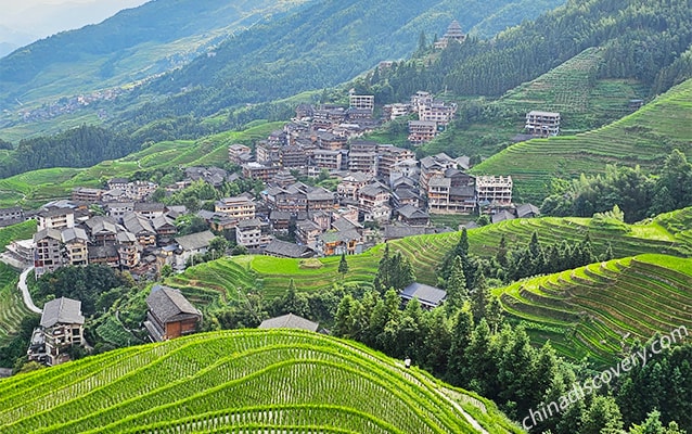 Longsheng Rice Terraces Photography