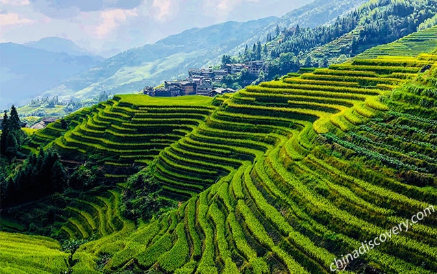 Ping An Rice Terraces