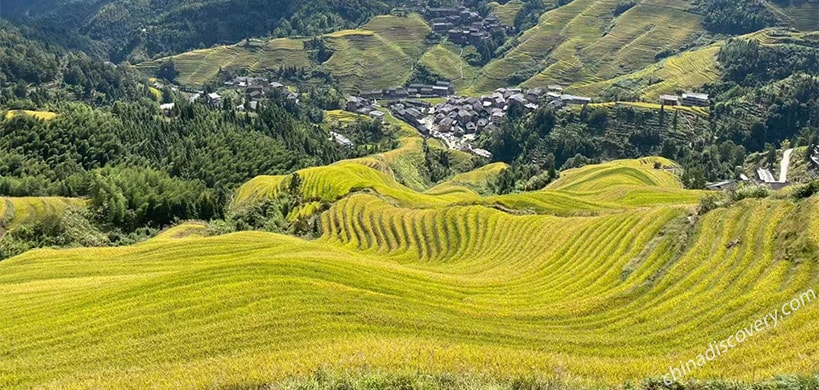 Longsheng Rice Terraces