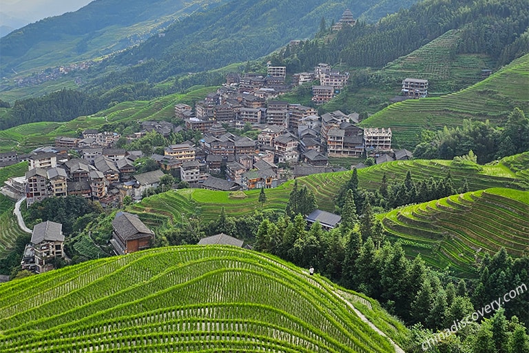 Longji Rice Terrace