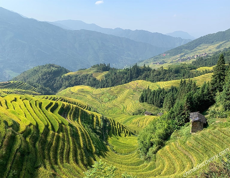 Ping an Rice Terraces