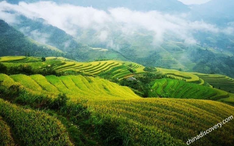 Longsheng Rice Terraces