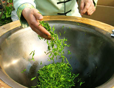 Watch the Master Drying Tea with Their Own Hands