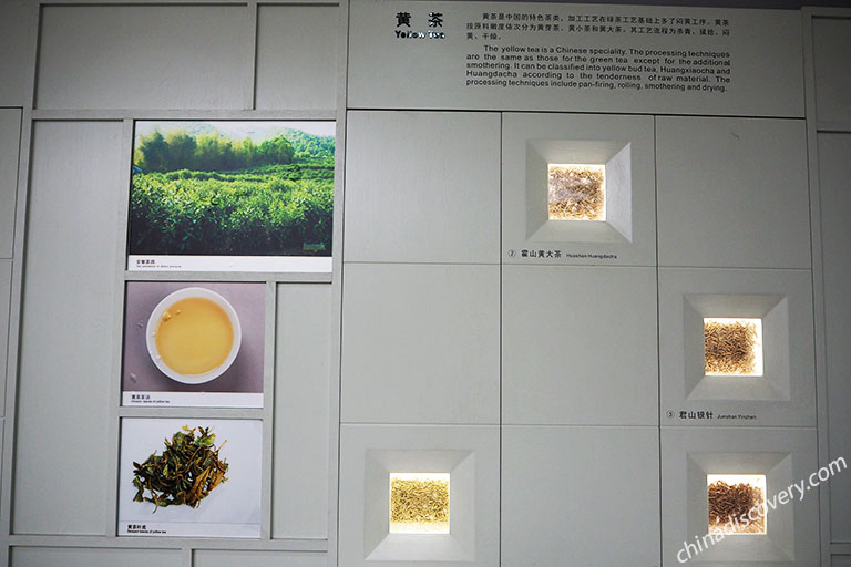 China National Tea Museum China National Tea Museum