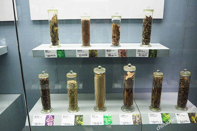 Hu Qing Yu Tang Museum of Traditional Chinese Medicine