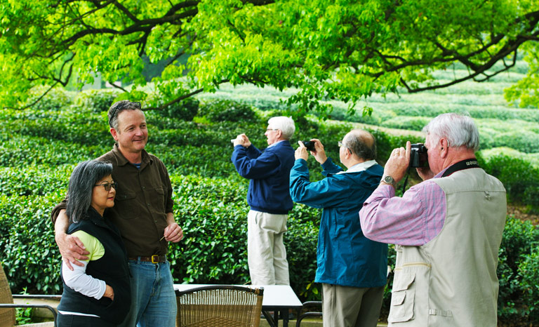 Hangzhou Biking Routes - Longjing Tea Plantations