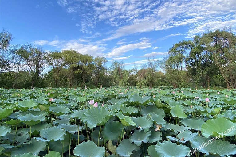 Hangzhou West Lake Biking Route