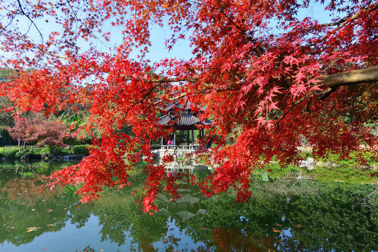 Best Places to Visit in China in Autumn