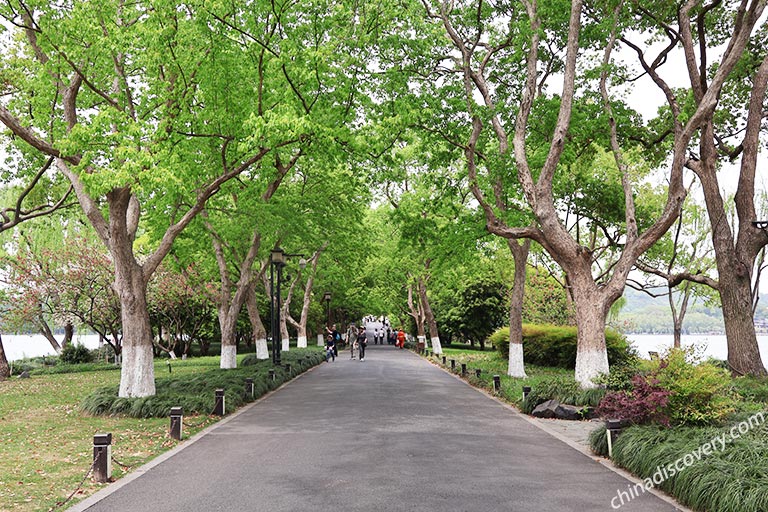 Ten Scenes of West Lake