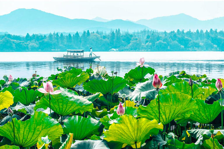 West Lake in Summer How to Plan a Trip to Hangzhou