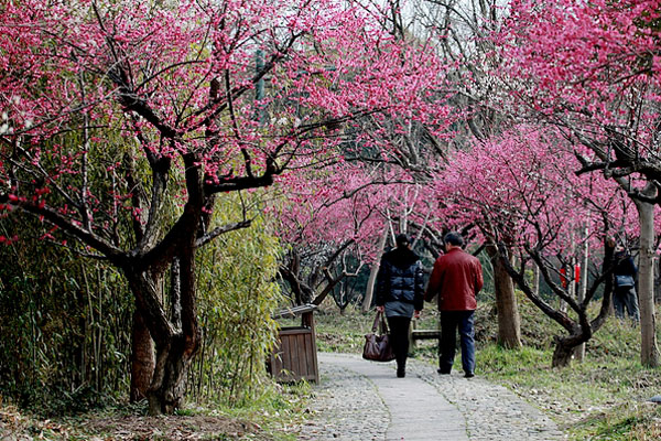 Xixi National Wetland Park