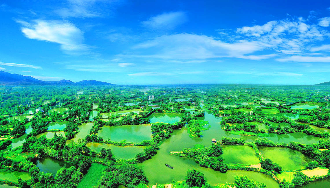 Xixi National Wetland Park 