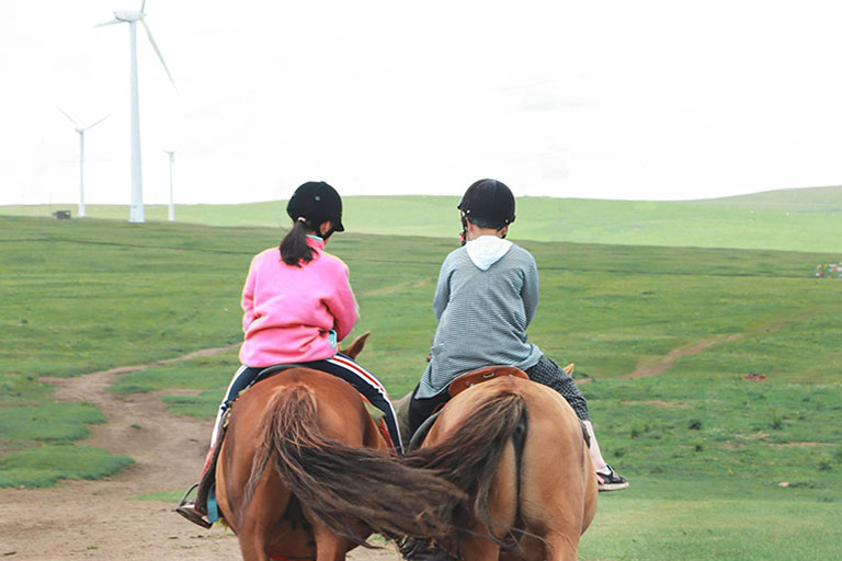 Inner Mongolia Grasslands