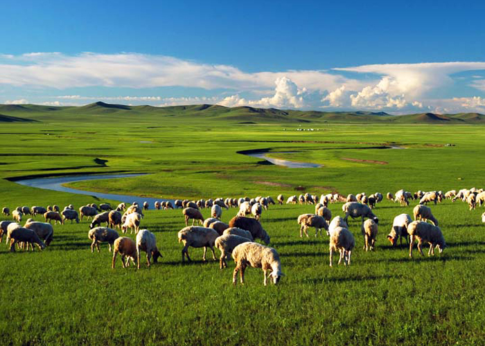 Huitengxile Grassland