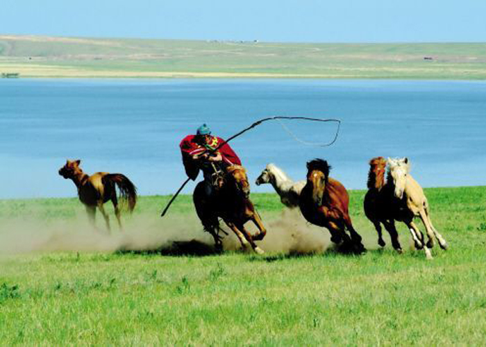 Naadam Festival hold in Huitengxile Grassland