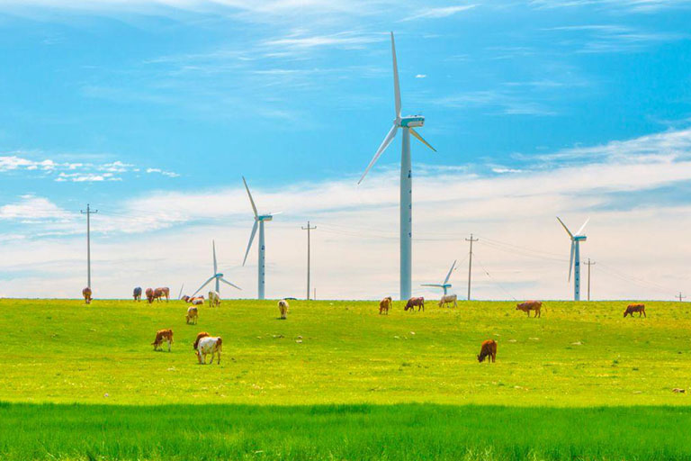 Wind Plant in Huitengxile