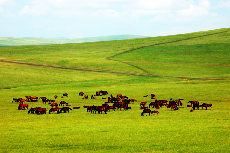 xilamuren grassland tourism center baotou