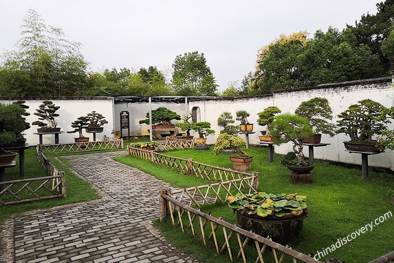 Bao Family’s Garden