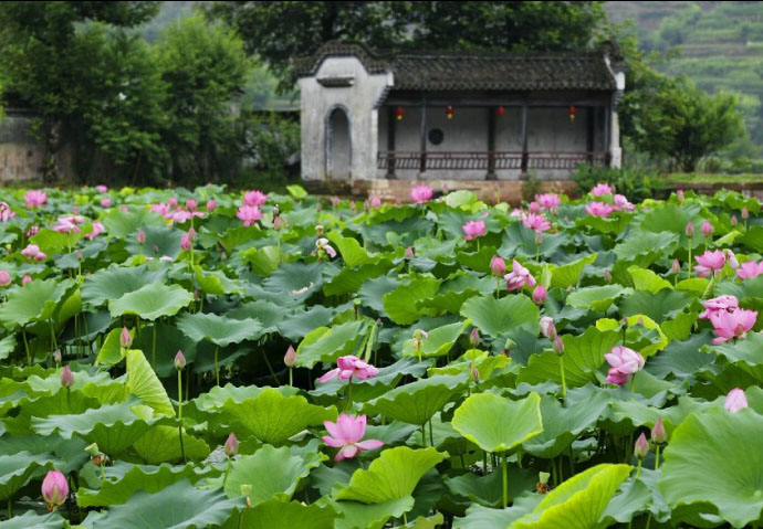 Chengkan Ancient Village